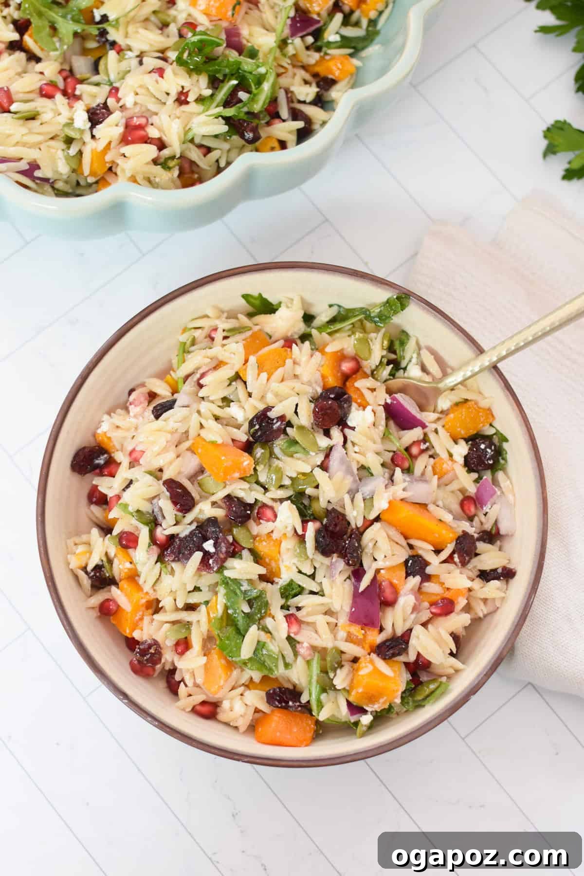 Autumn Harvest Orzo Pasta Salad 6 A small bowl of Fall Orzo Pasta Salad garnished with extra pumpkin seeds and a gold fork, ready to be enjoyed.
