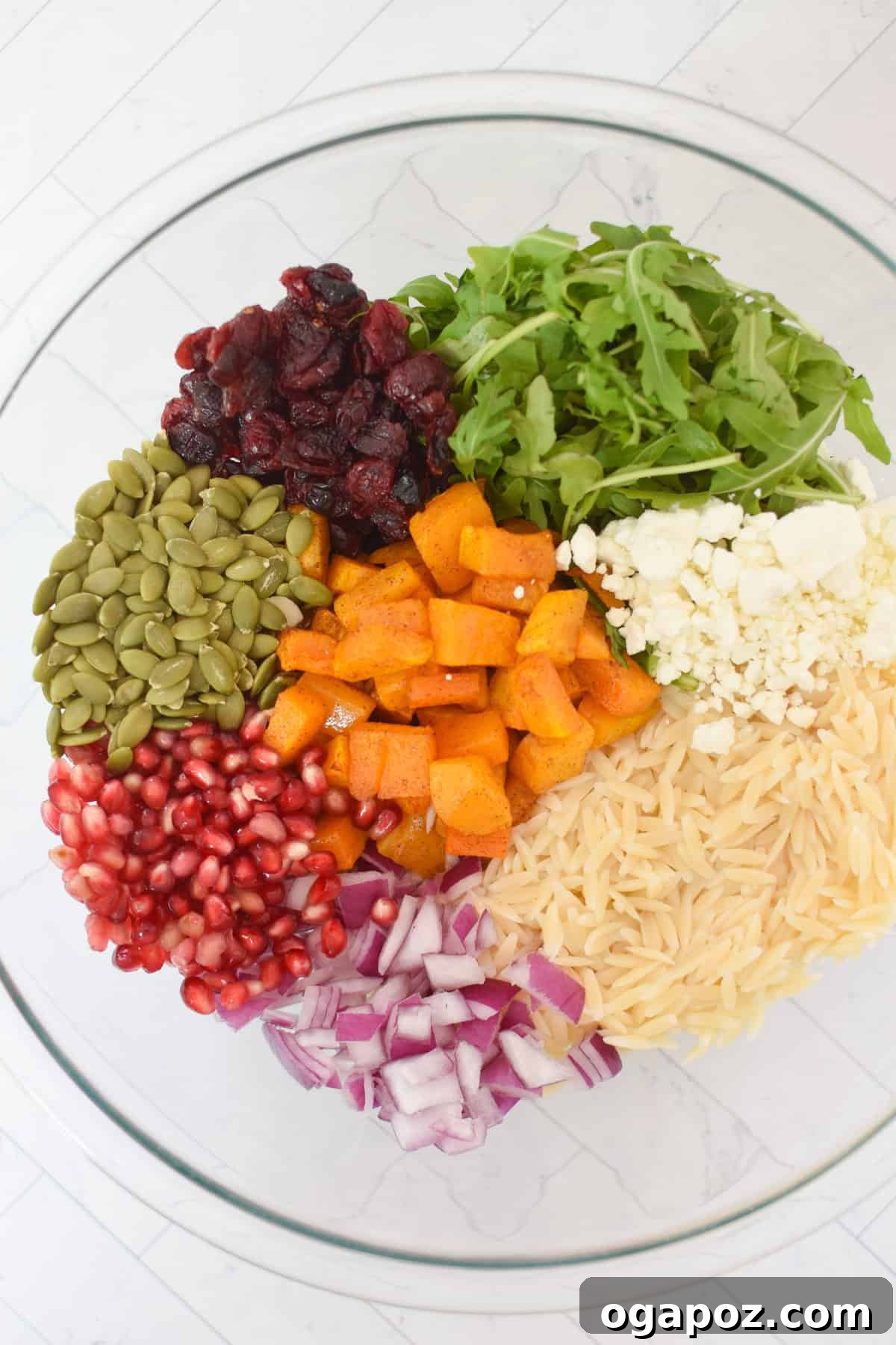Autumn Harvest Orzo Pasta Salad 10 All the delicious ingredients for Fall Orzo Pasta Salad, including cooled orzo, roasted squash, goat cheese, cranberries, pomegranate, red onion, and pumpkin seeds, gathered in a large glass mixing bowl.