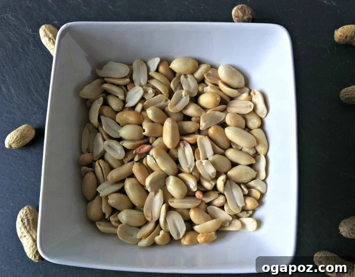 Peanuts for Homemade Peanut Butter Recipe