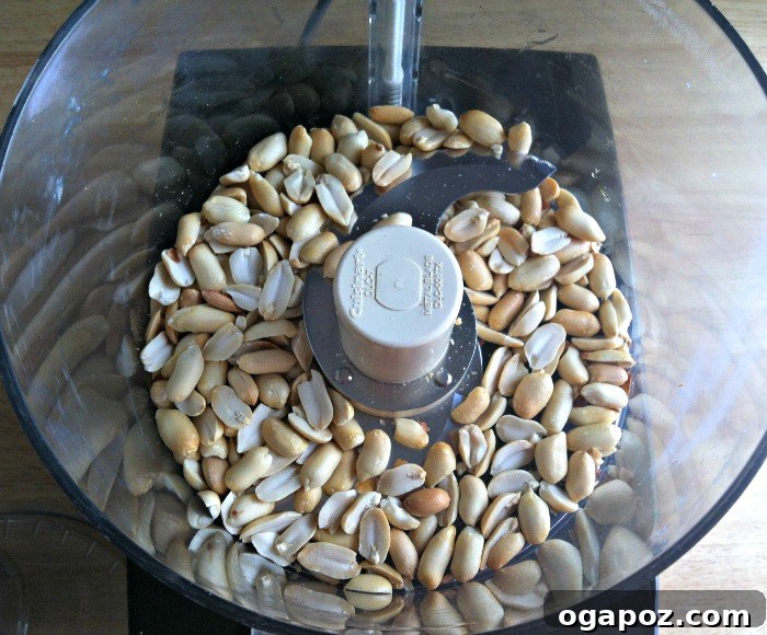 Peanuts to grind for Homemade Peanut Butter Recipe