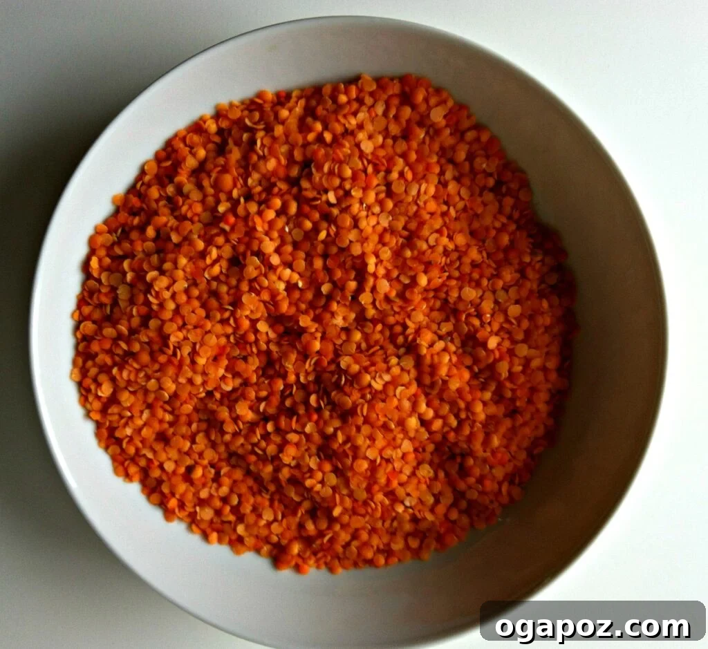 Fragrant Moroccan Spiced Lentil Soup 5 Red lentils in a white bowl, ready for cooking