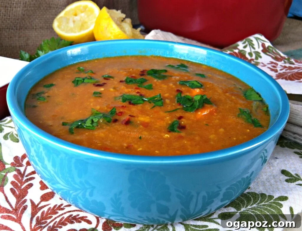 Fragrant Moroccan Spiced Lentil Soup 6 Moroccan Red Lentil Soup being served in a blue bowl