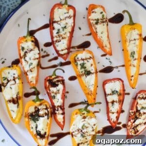 Creamy Goat Cheese Stuffed Mini Peppers 14 Goat Cheese Stuffed Mini Peppers on a white plate with balsamic glaze