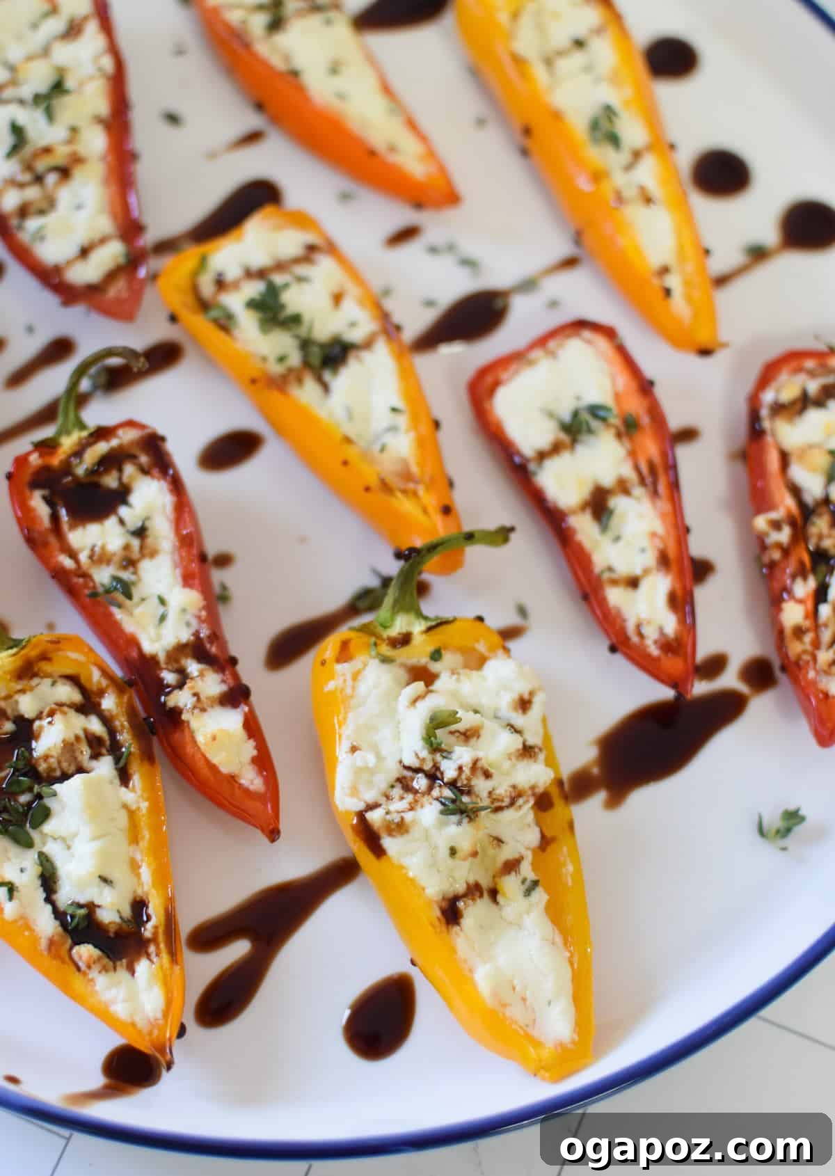 Creamy Goat Cheese Stuffed Mini Peppers 3 Close-up of Goat Cheese Stuffed Mini Peppers on a white and blue plate, showcasing the creamy filling