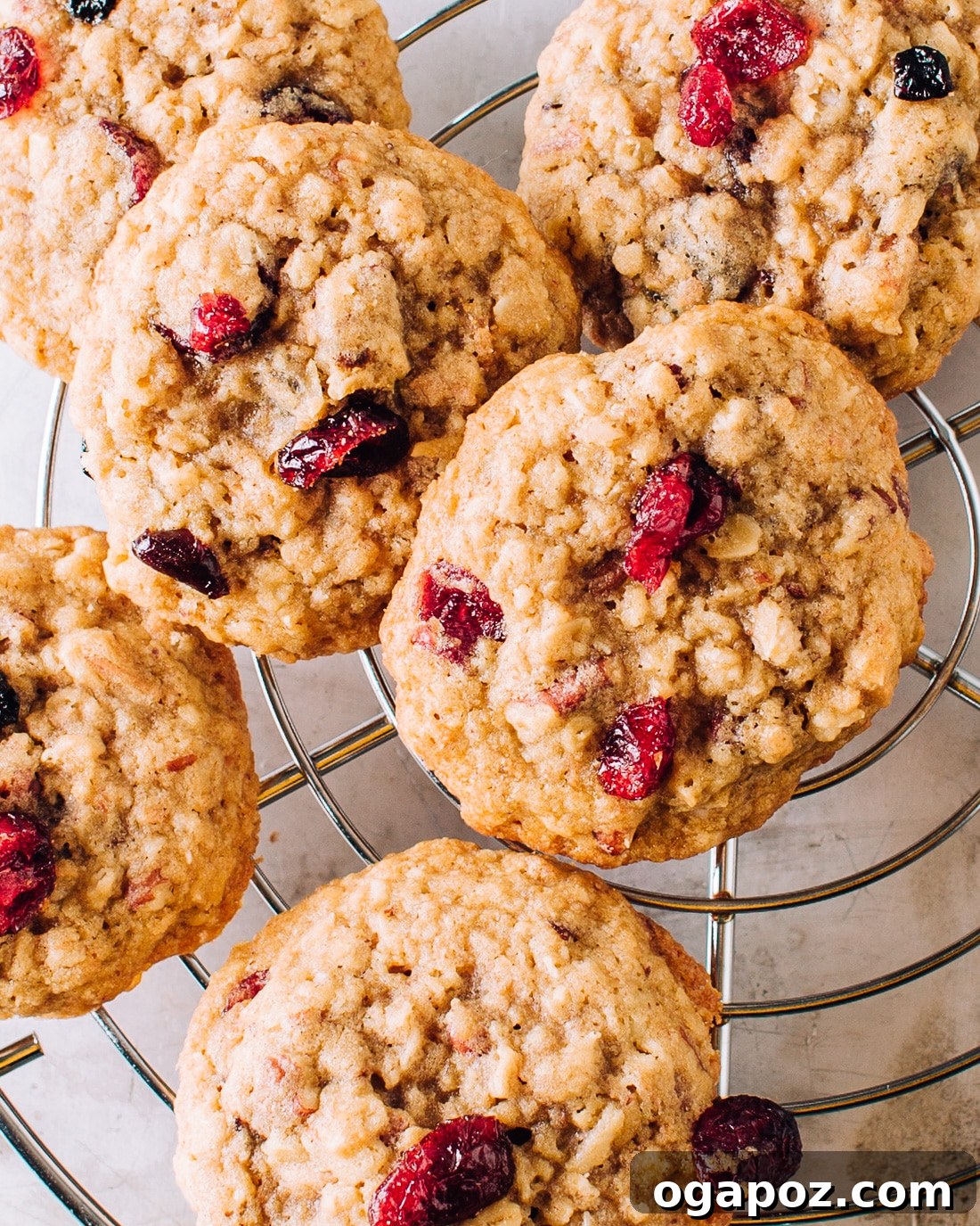 Hearty Chewy Oatmeal Delights 3 Close-up of a stack of Chewy Oatmeal Cookies showcasing their texture and ingredients