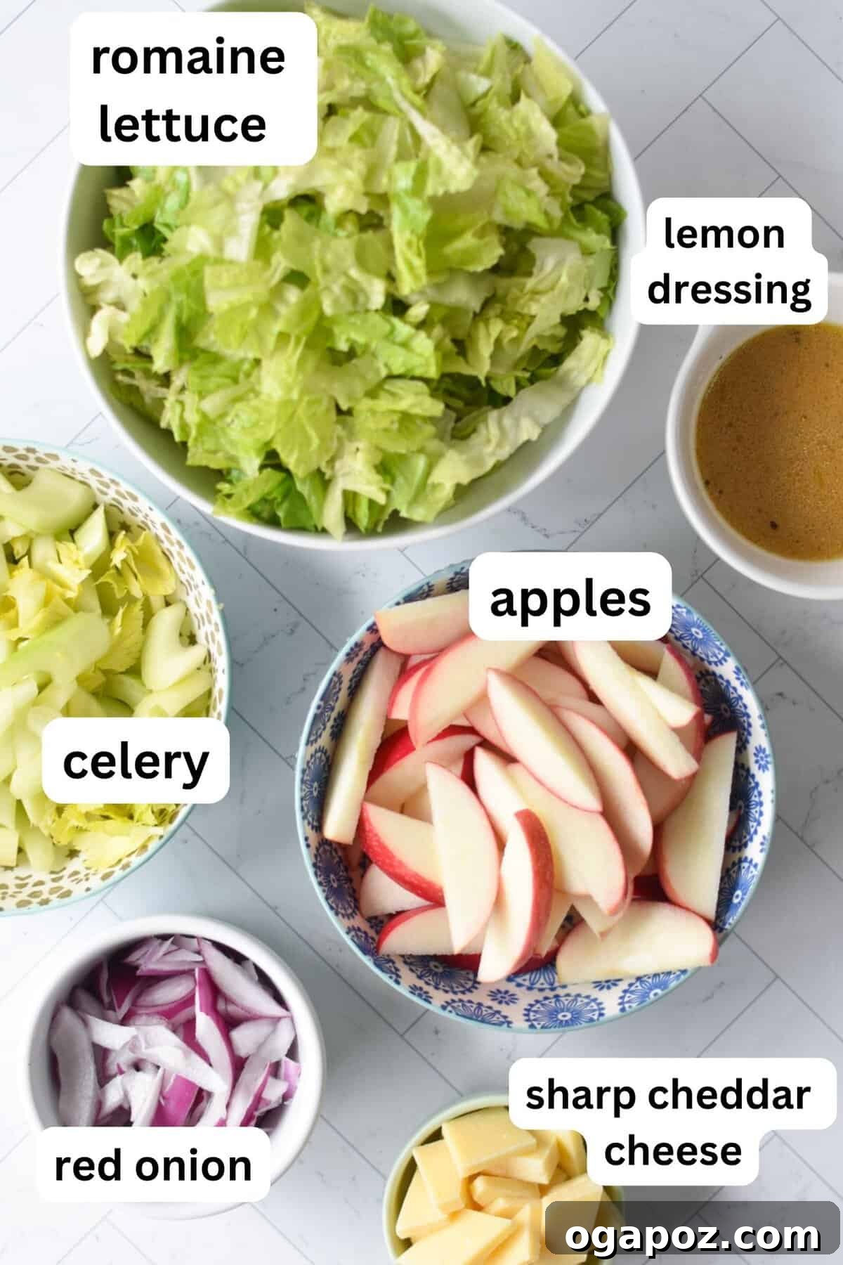 Refreshing Apple Celery Crunch 5 Apple Celery Salad Recipe recipe ingredients