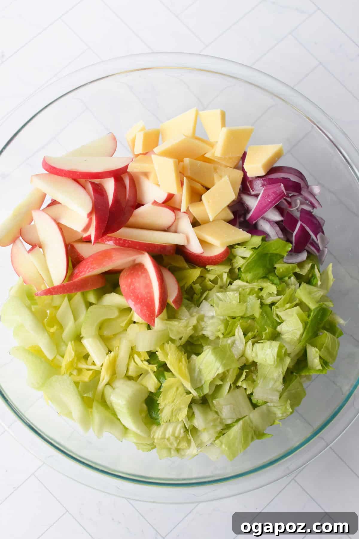 Refreshing Apple Celery Crunch 7 apple and celery salad in a white bowl ingredients