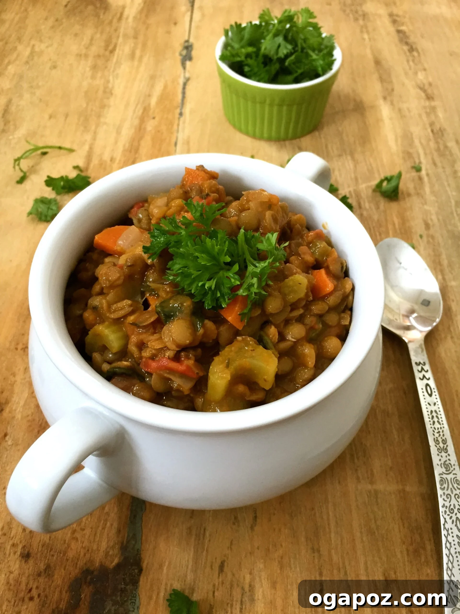 The Ultimate List: 20 Must-Try Lentil Soups 16 Nutritious Green Lentil Spinach Soup