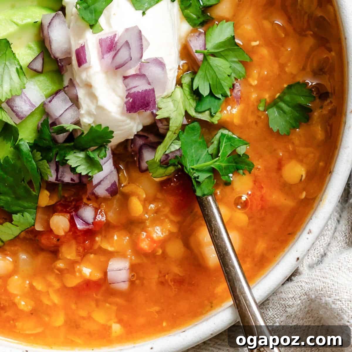 The Ultimate List: 20 Must-Try Lentil Soups 18 Hearty Vegetarian Lentil Bean Chili