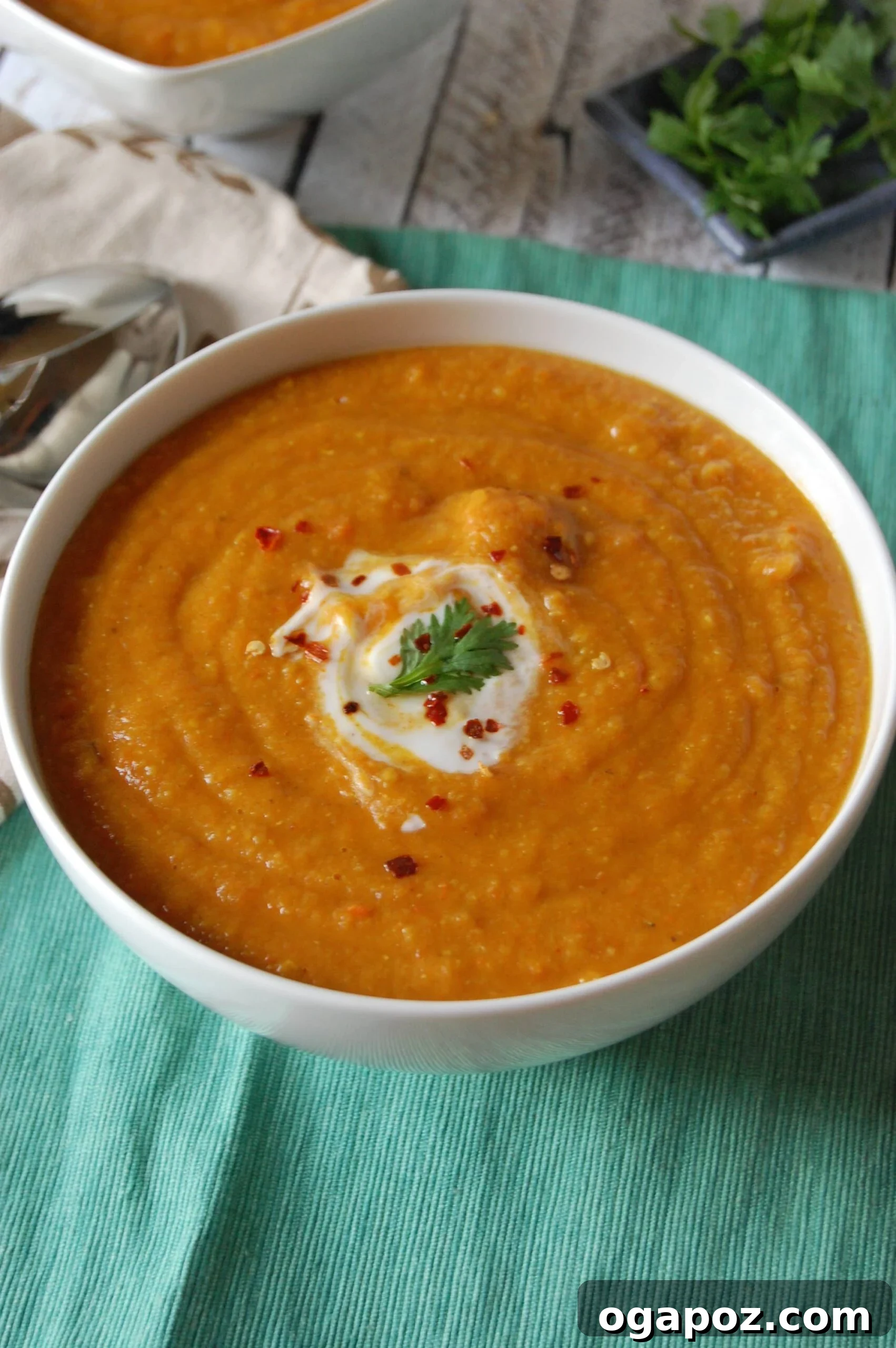 The Ultimate List: 20 Must-Try Lentil Soups 20 Quick and flavorful Instant Pot Lentil Soup with parsley