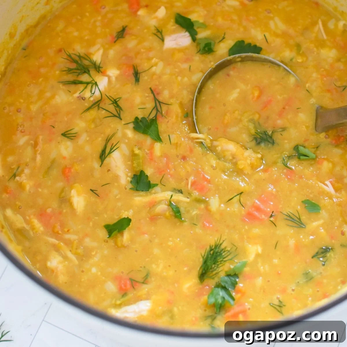 The Ultimate List: 20 Must-Try Lentil Soups 4 Hearty Chicken Lentil Soup for chilly days