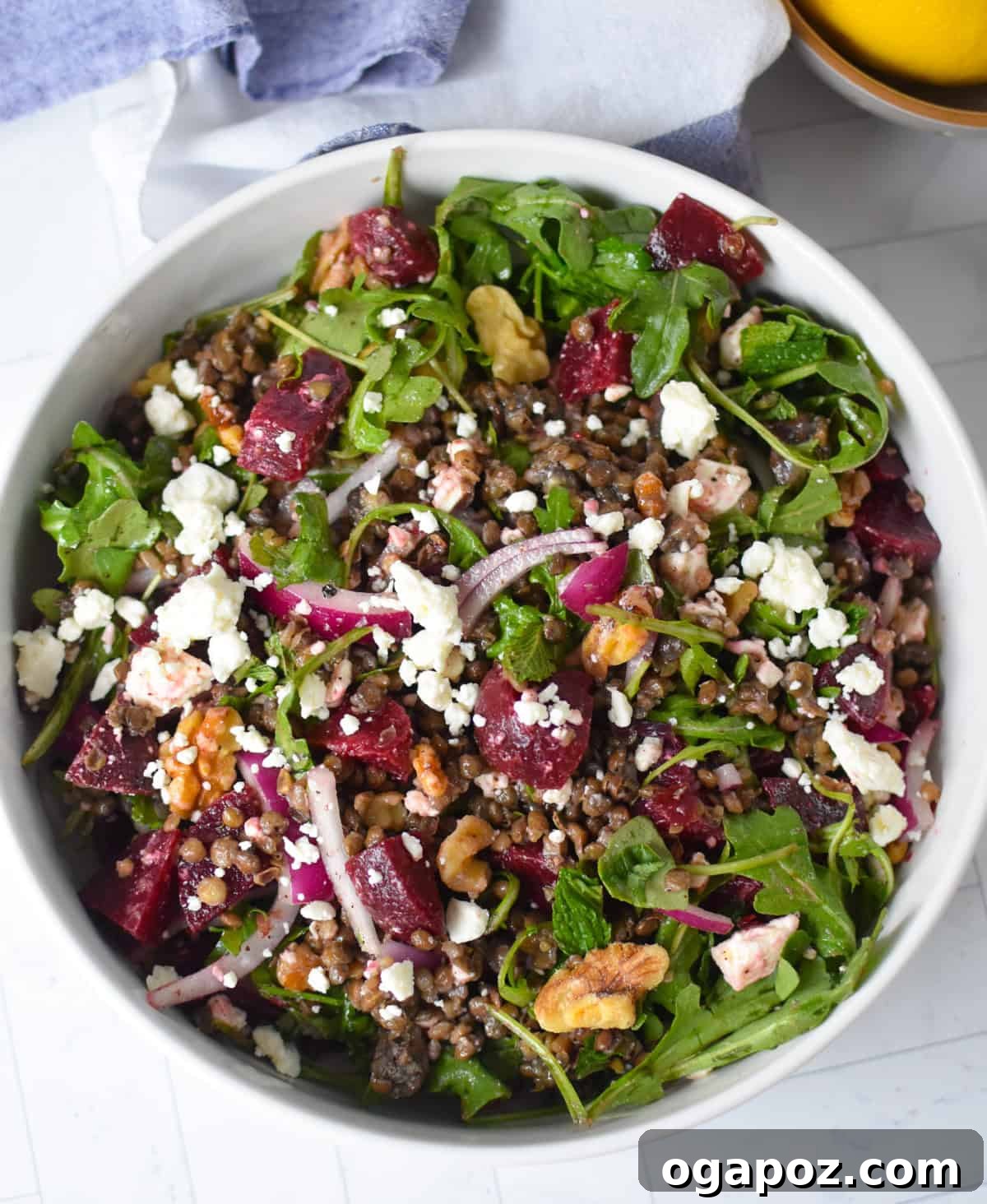 Vibrant Lentil and Beet Salad 7 Healthy Lentil Salad with Beets and Feta in a clean white bowl, garnished with fresh herbs.