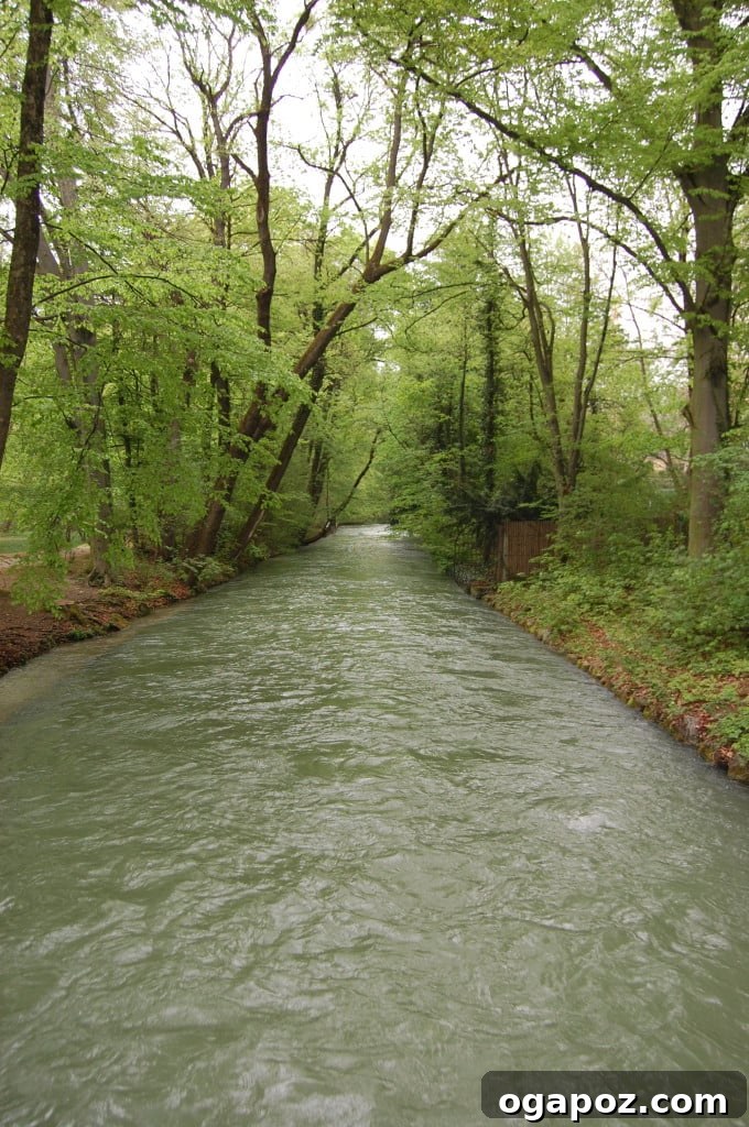Munich: A Bavarian Jewel 16 A picturesque pathway winding through the lush, green landscapes of the Englischer Garten in Munich