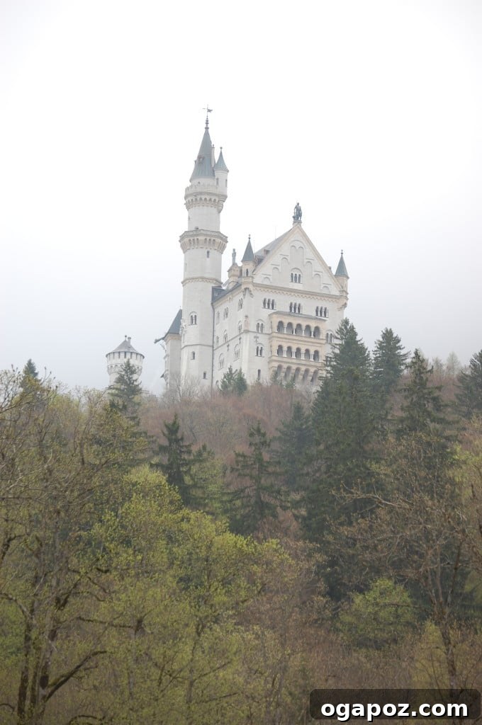 Munich: A Bavarian Jewel 19 The majestic Neuschwanstein Castle, a grand 19th-century Romanesque Revival palace, set against a dramatic mountain backdrop