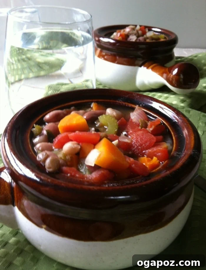 Mom's Hearty 15-Bean Soup 3 Close-up photograph of a generous serving of 15 bean soup, showcasing its rich, thick texture and diverse bean varieties.