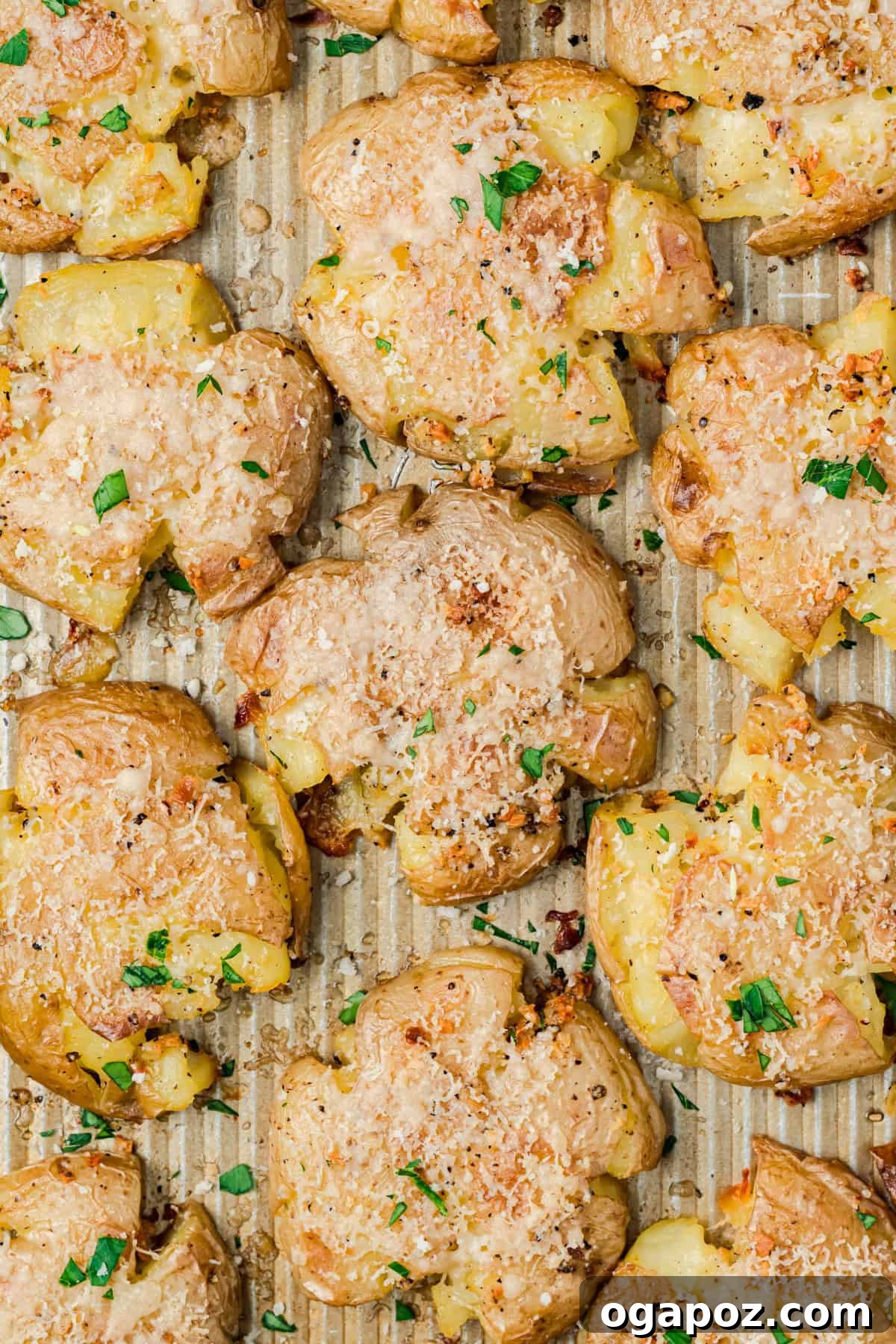 Crispy Garlic Parmesan Smashed Potatoes 14 Parmesan crusted smashed potatoes garnished with fresh parsley.