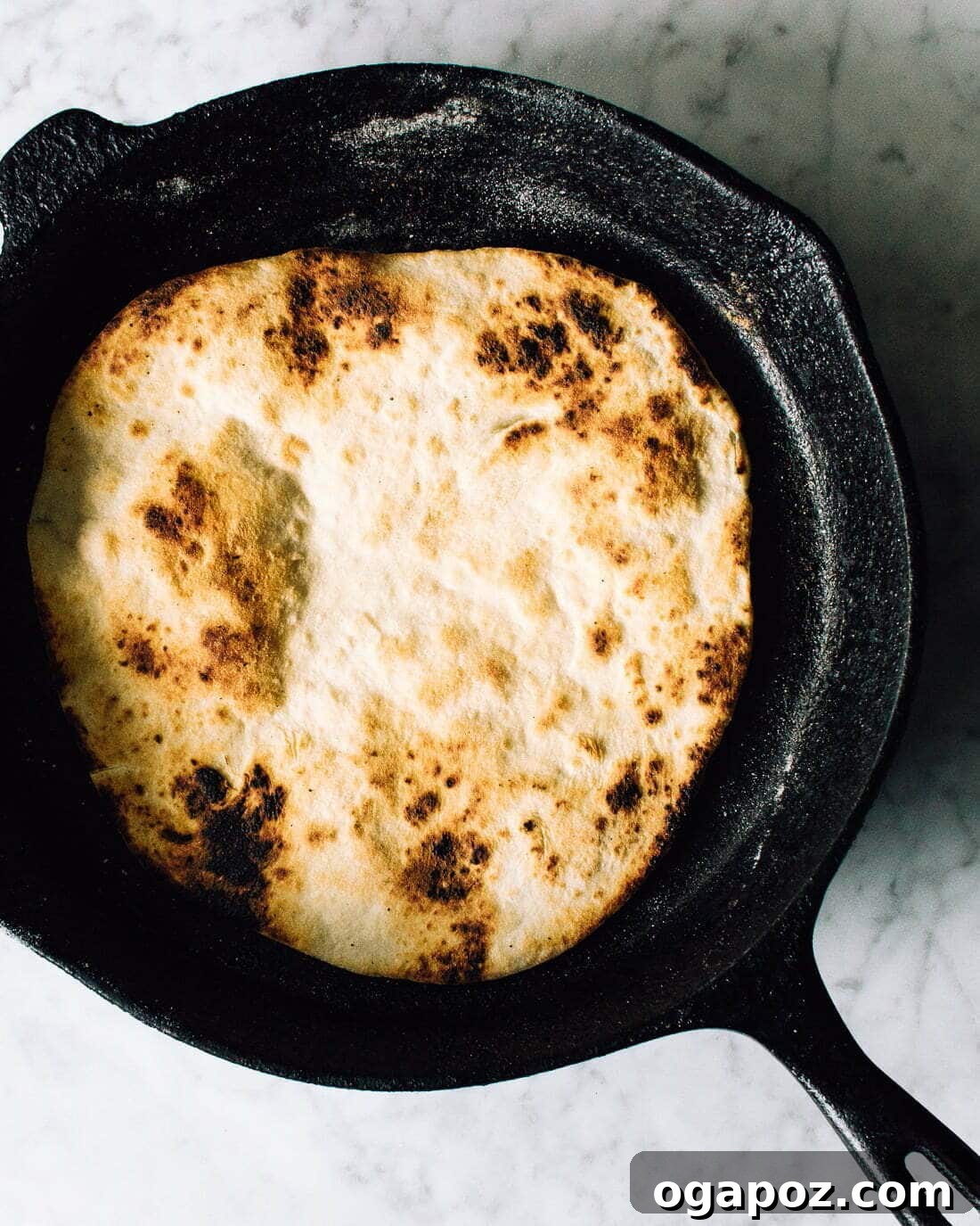 The Definitive Guide to Incredible Home Pizza Dough 3 Crispy Pizza Underside