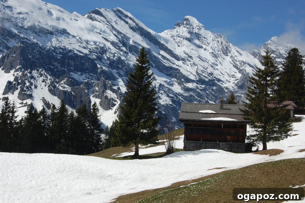 Interlaken Swiss Adventure Hub 2 Panoramic view of Interlaken, Switzerland with turquoise lakes and surrounding mountains