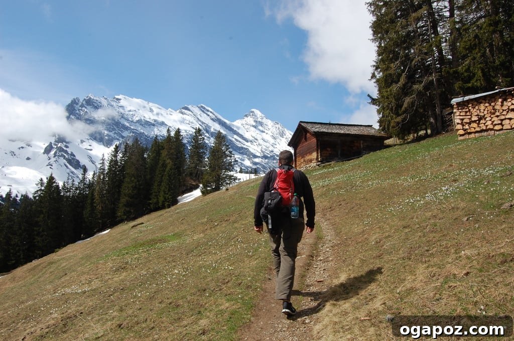 Interlaken Swiss Adventure Hub 21 Another view of a hiking path through a lush landscape