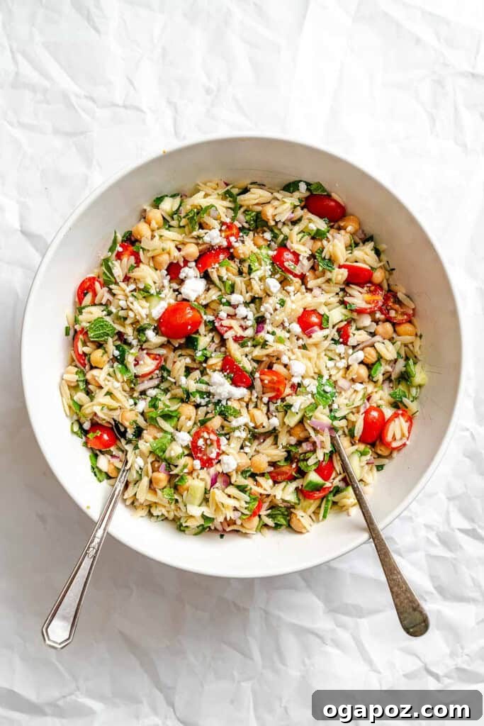 Bright Summer Orzo Salad 11 The fully mixed Summer Orzo Pasta Salad in a large serving bowl, vibrant and ready to enjoy.
