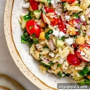 Appetizing image of Summer Orzo Pasta Salad.