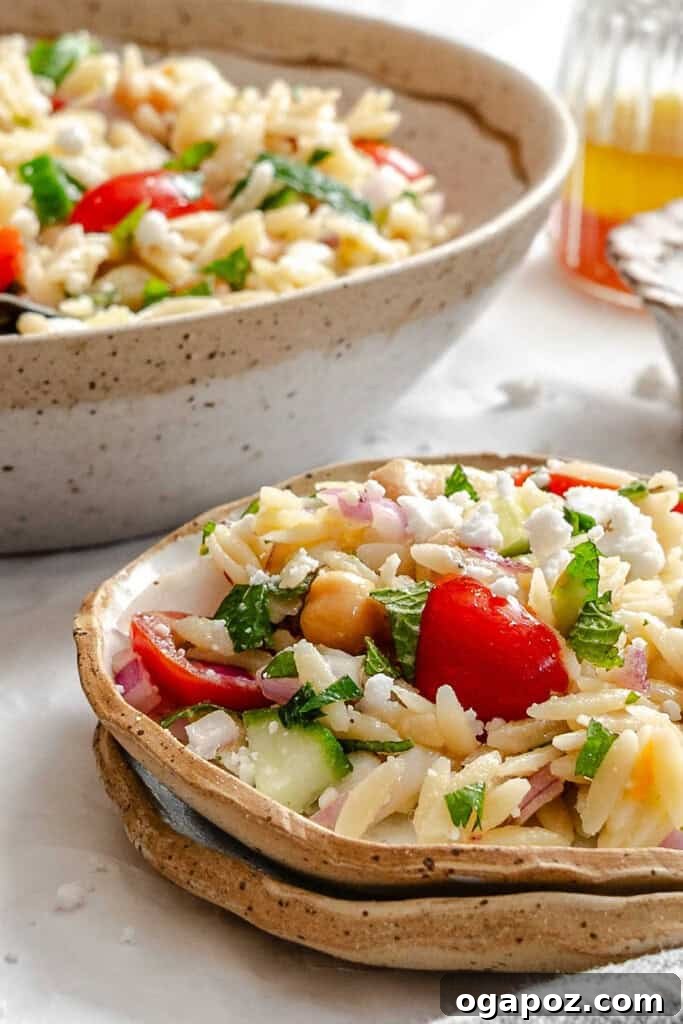 Bright Summer Orzo Salad 4 A close-up shot of Summer Orzo Pasta Salad served in a small white bowl, garnished with fresh herbs.