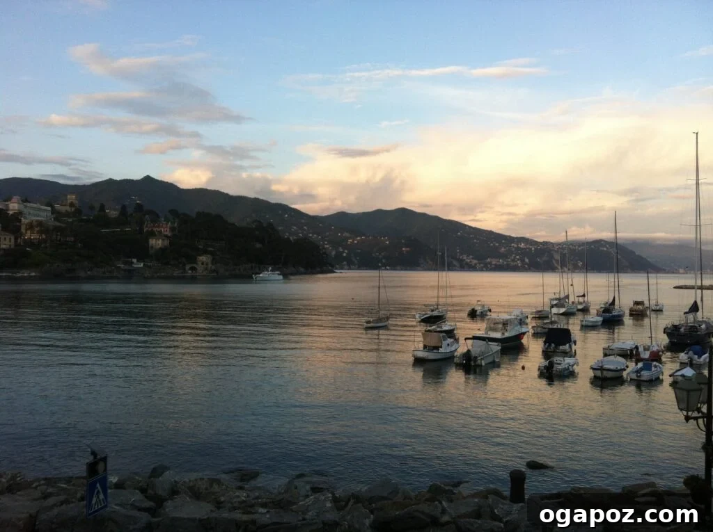 Italy's Coastal Charms: Cinque Terre and Santa Margherita 5 Scenic harbor of Santa Margherita Ligure with fishing boats and yachts