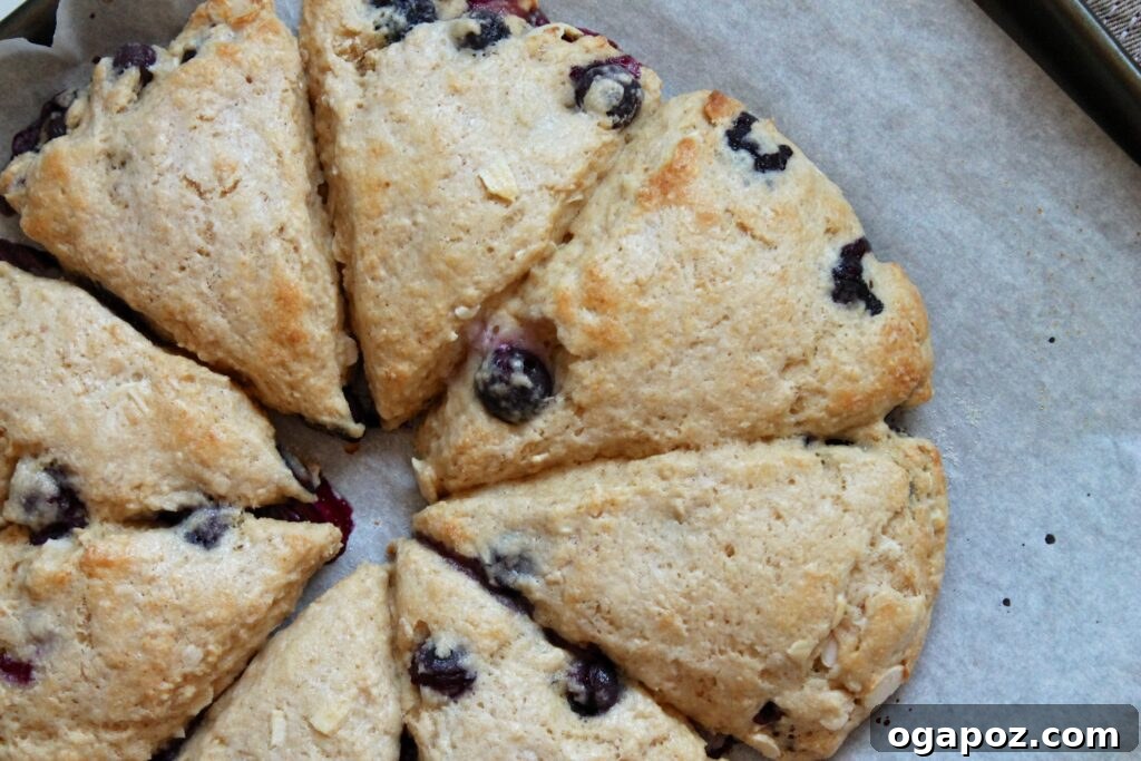 Zesty Lemon Blueberry Yogurt Scones 3 Close-up view of perfectly baked Blueberry-Lemon Yogurt Scones, showing the tender crumb and juicy fresh blueberries inside