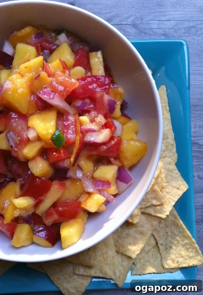 bowl of Fresh Peach, Mango and Nectarine Salsa