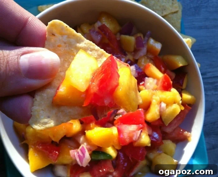 delicious Fresh Peach, Mango and Nectarine Salsa