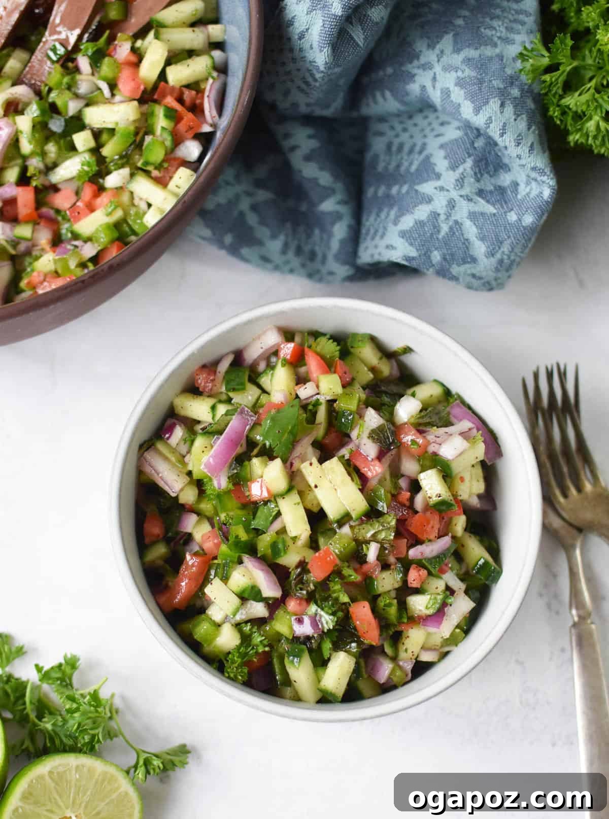 Authentic Shirazi Salad Recipe 7 Shirazi Salad Recipe in a white bowl