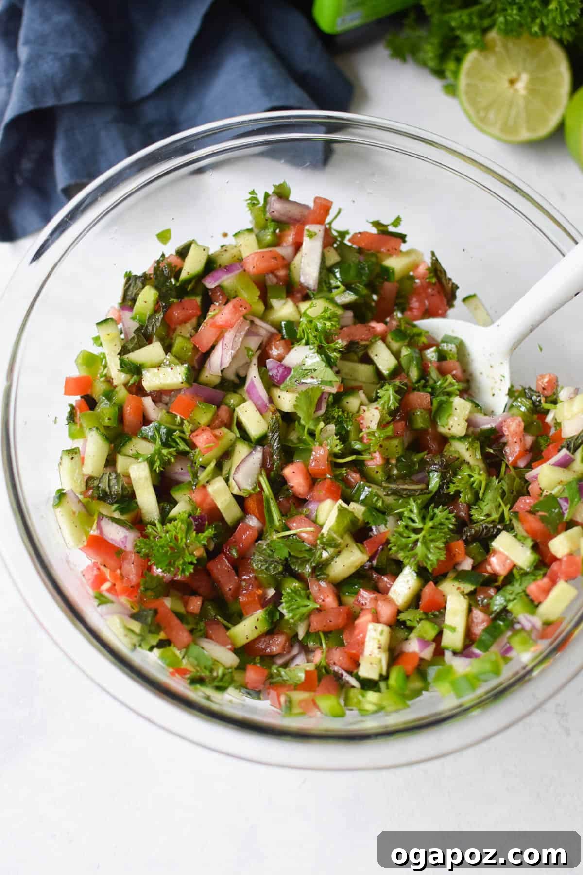 Authentic Shirazi Salad Recipe 9 Shirazi Salad Recipe with dressing