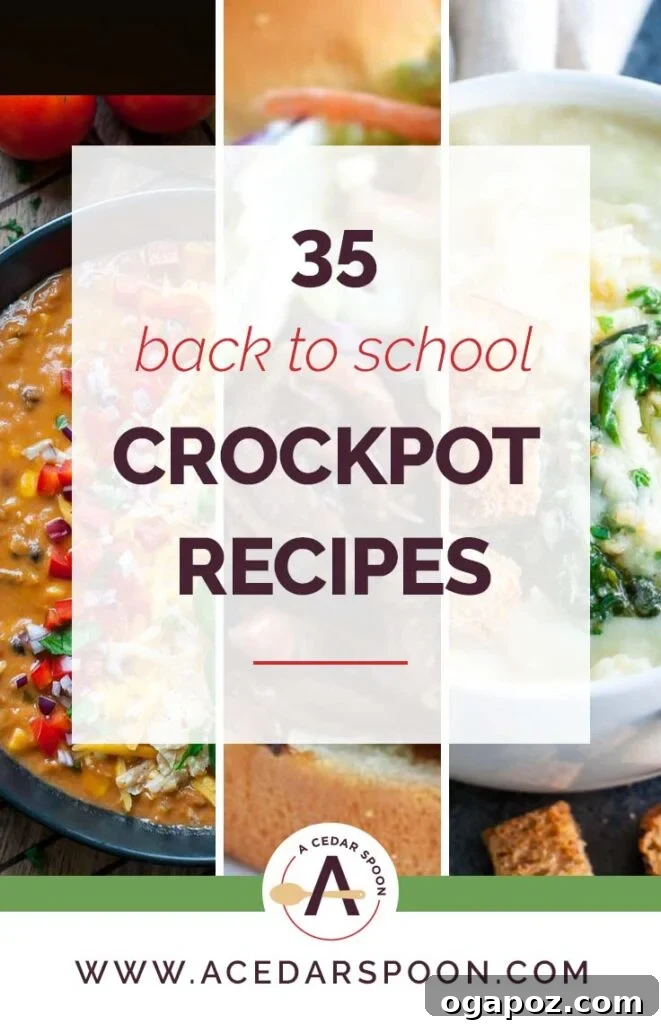 35 Easy Slow Cooker Dinners for Busy School Nights 2 A collage featuring various appetizing crockpot dishes, including hearty stews, chicken meals, and more, all perfect for back-to-school dinners.