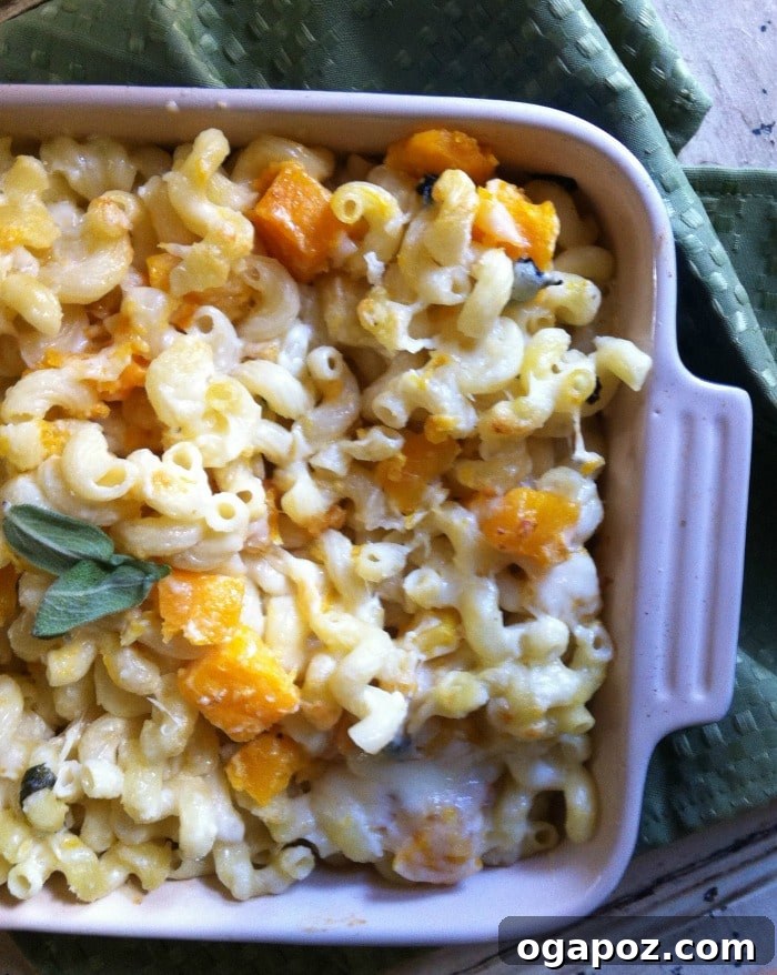 Golden Roasted Butternut Squash & Sage Mac & Cheese 2 creamy Roasted Butternut Squash and Sage Mac & Cheese