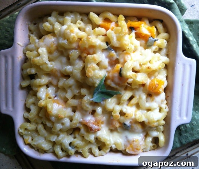 Golden Roasted Butternut Squash & Sage Mac & Cheese 3 Roasted Butternut Squash and Sage Mac & Cheese recipe