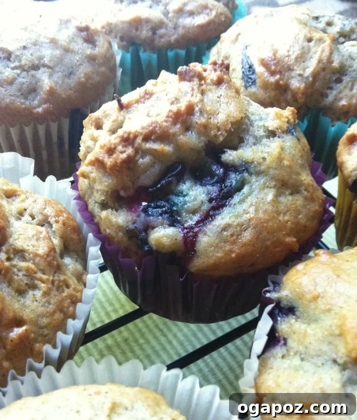 Velvet Cinnamon Blueberry Yogurt Muffins 5 Close-up of freshly baked Cinnamon Yogurt Blueberry Muffins, golden brown and bursting with blueberries