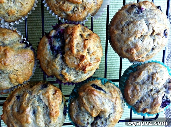 Velvet Cinnamon Blueberry Yogurt Muffins 6 Delicious Cinnamon Yogurt Blueberry Muffins cooling on a wire rack, ready to be enjoyed