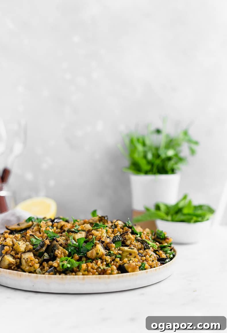 9+ Phenomenal Israeli Couscous Recipes You Must Try 8 A rich Israeli couscous salad infused with herbs and tender eggplant, presented on a plate for a comforting meal.