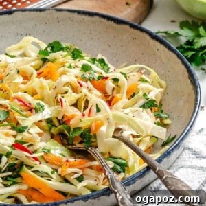 Bright & Tangy Mayo-Free Coleslaw 14 Healthy Coleslaw 1200 x 1200