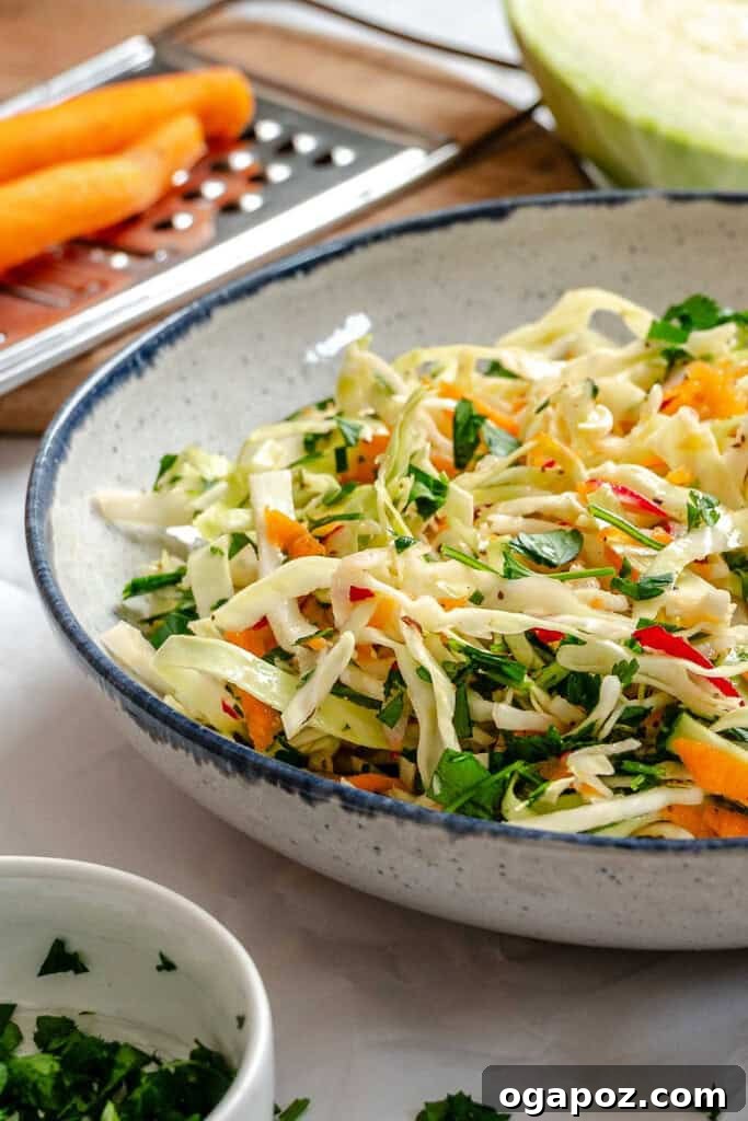 Bright & Tangy Mayo-Free Coleslaw 3 Light Vinegar Coleslaw served in a blue-rimmed bowl