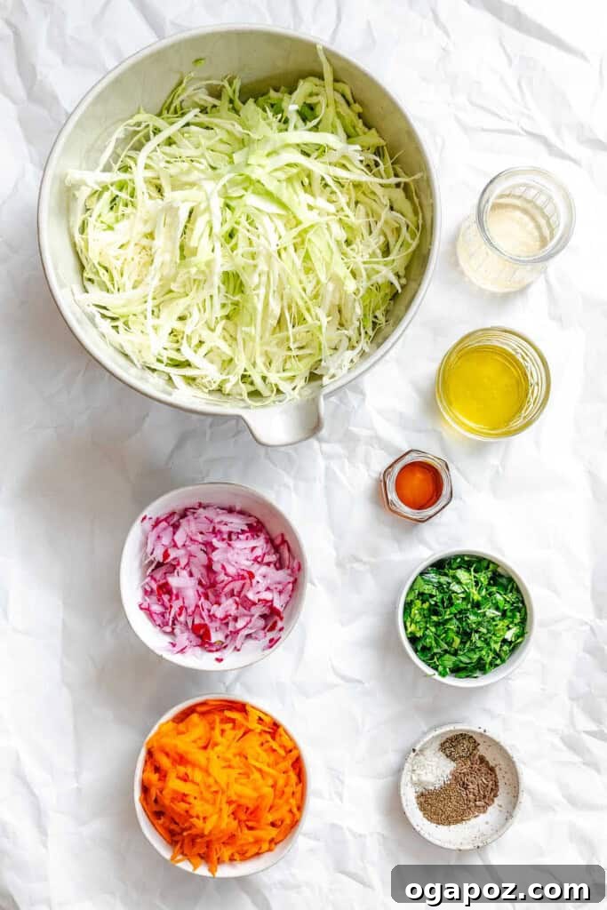 Bright & Tangy Mayo-Free Coleslaw 6 Ingredients for Healthy Vinegar Coleslaw displayed on a counter