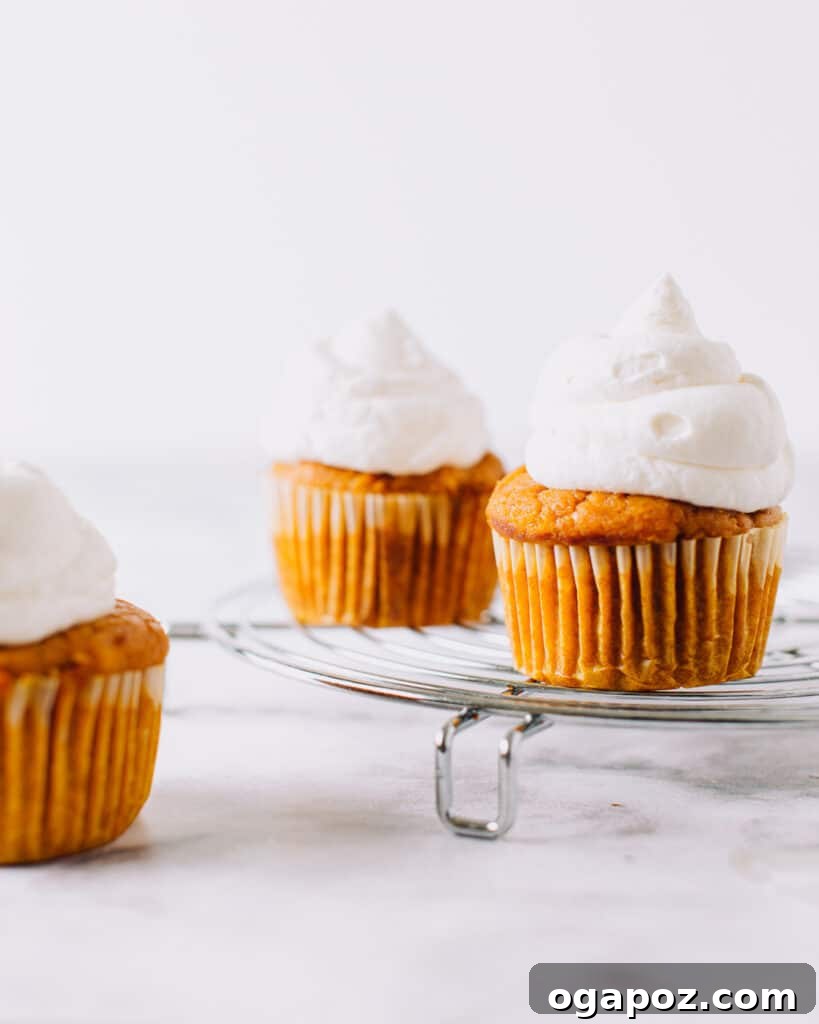 Cloud-Soft Pumpkin Cupcakes 4 Three pumpkin cupcakes with a swirl of whipped cream frosting and a dusting of cinnamon.