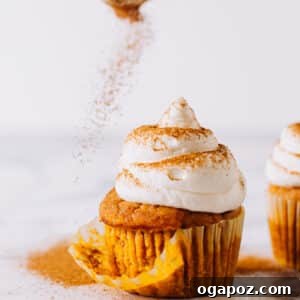 Pumpkin cupcake being dusted with cinnamon.