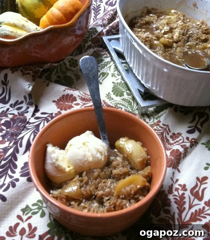 Warm Apple Crumble 3 A warm bowl of homemade apple crisp, ready to be served, with a hint of steam.