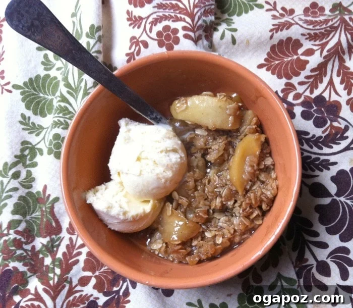 Warm Apple Crumble 5 Warm apple crisp in a bowl, generously topped with a scoop of melting vanilla ice cream and a spoon beside it.