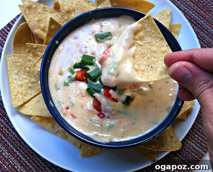 Close-up of Queso Blanco Dip with a chip