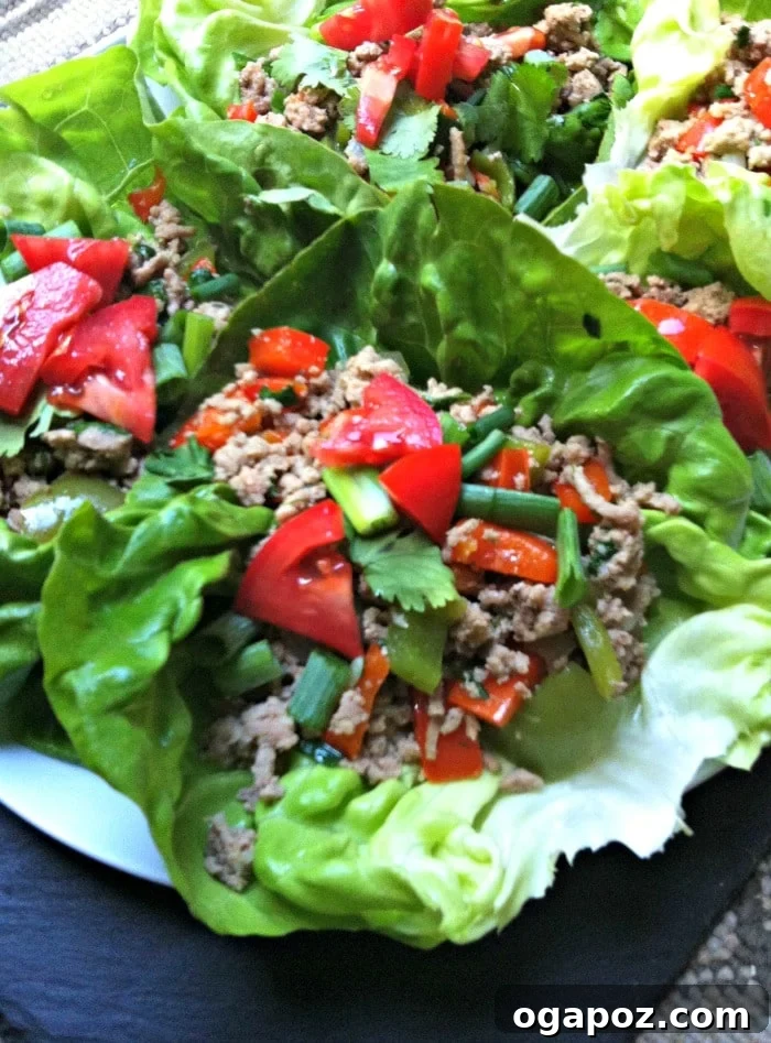 Zesty Thai Turkey Lettuce Cups 3 Close-up of healthy and fresh Thai Turkey Lettuce Wraps served with a delicious dipping sauce