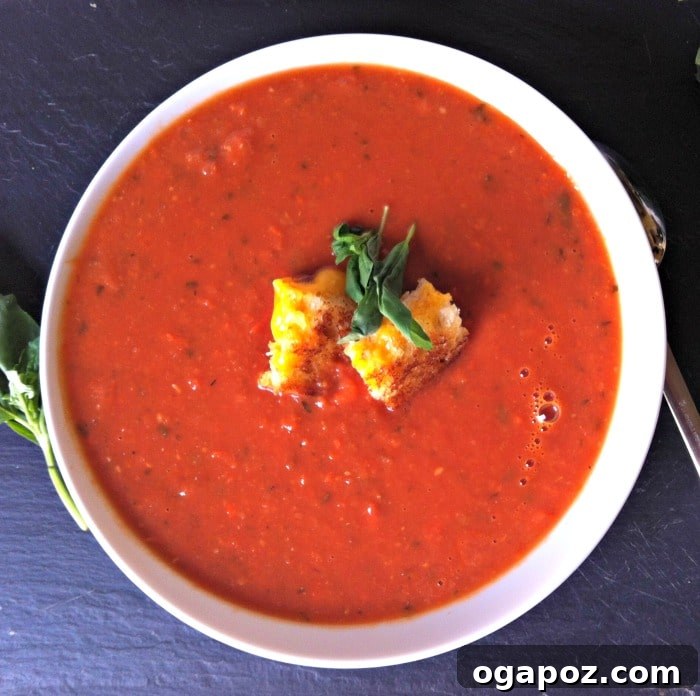 Warm Up with Tomato White Bean Soup and Enter to Win a 50 Dollar Visa Gift Card 2 bowl of creamy Tomato White Bean Soup with grilled cheese croutons