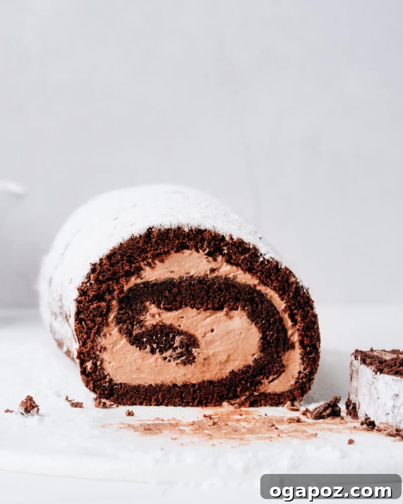 Chocolate Swiss roll cake with chocolate cream filling.