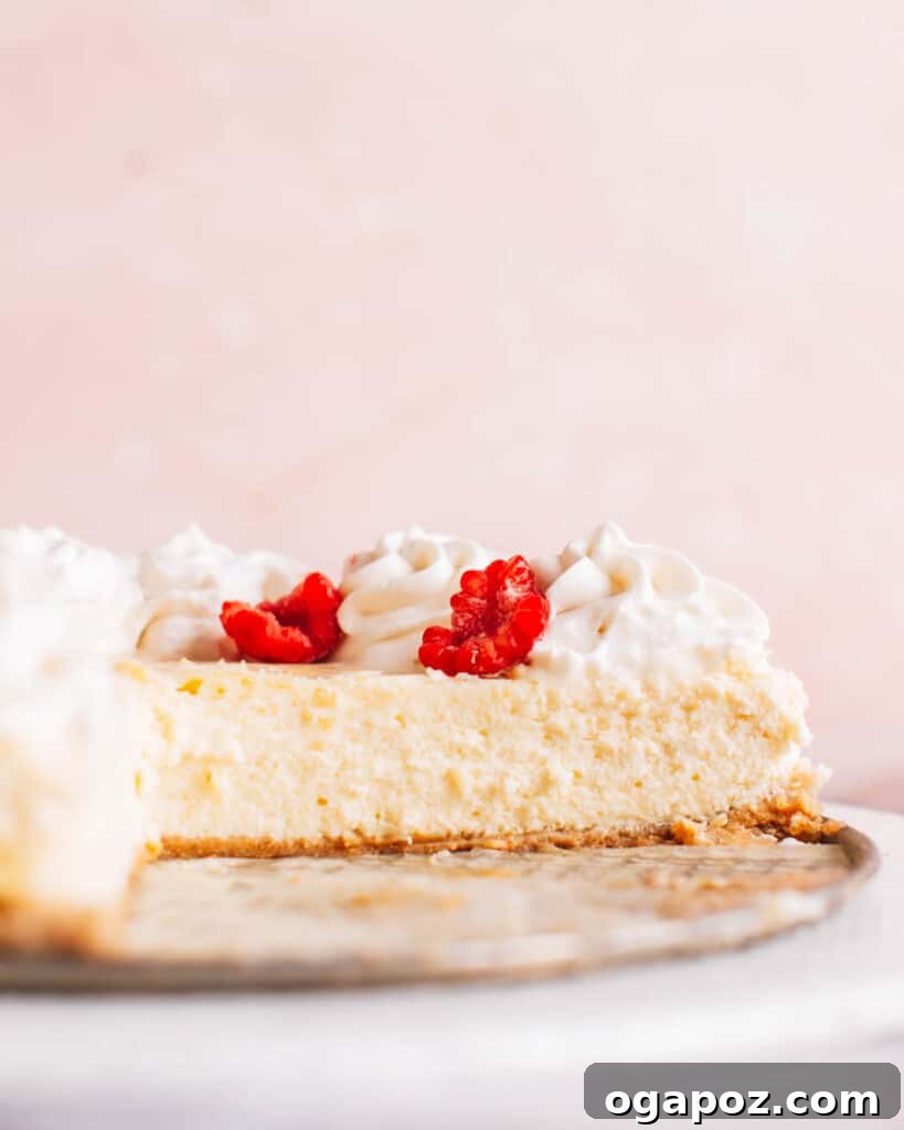 Slice of Philadelphia cheesecake with whipped cream.